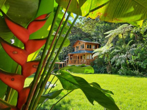 Refugio de Orquídeas
